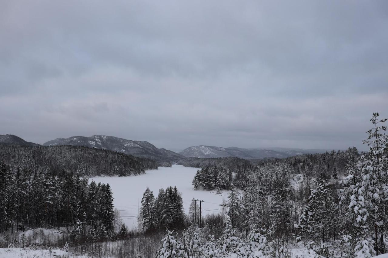 Utsikten - Cabin With A Great View Drangedal エクステリア 写真